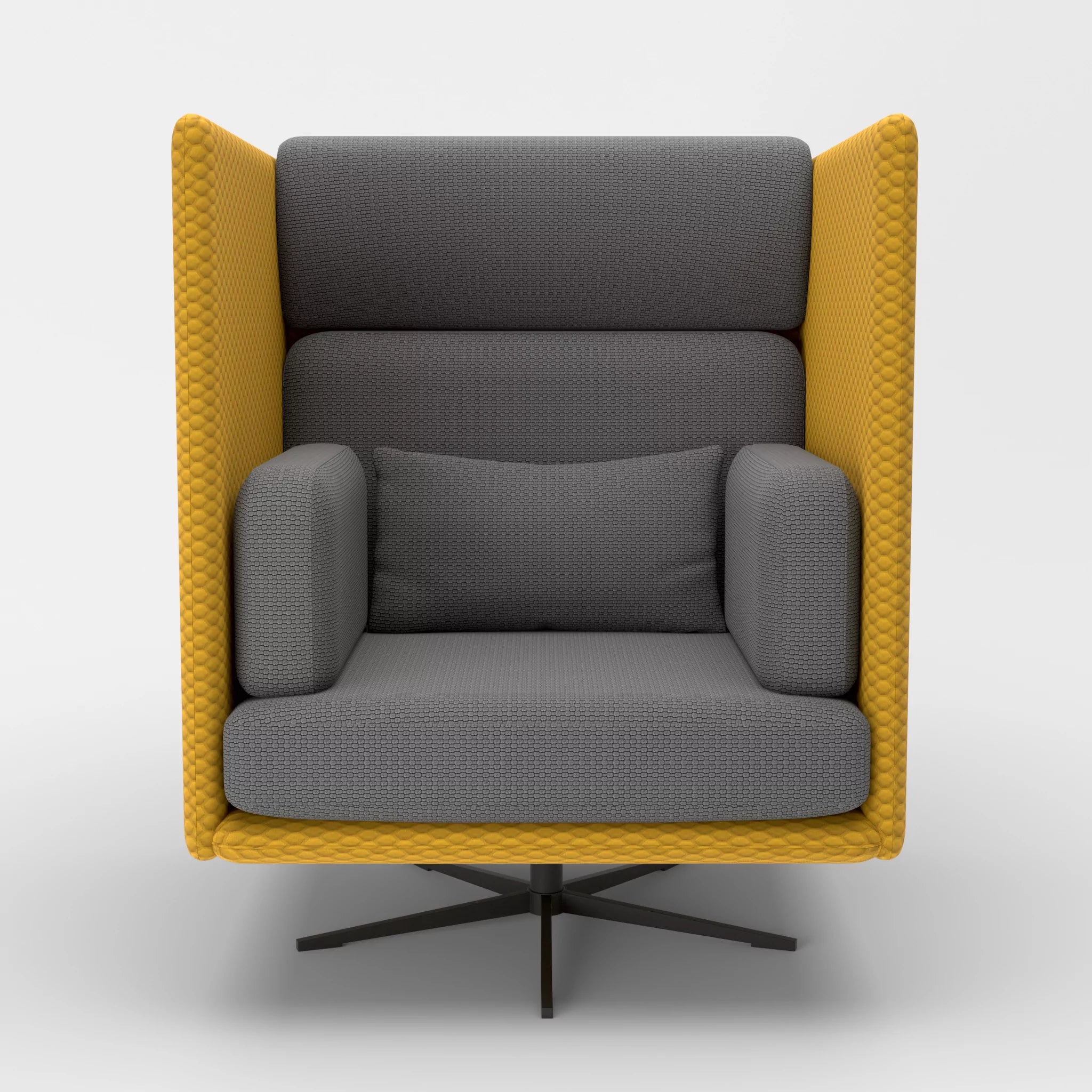 Loungesessel Egon Hohe Version spazio3030-nabucco8009 in Curry und Dunkelgrau von vorne