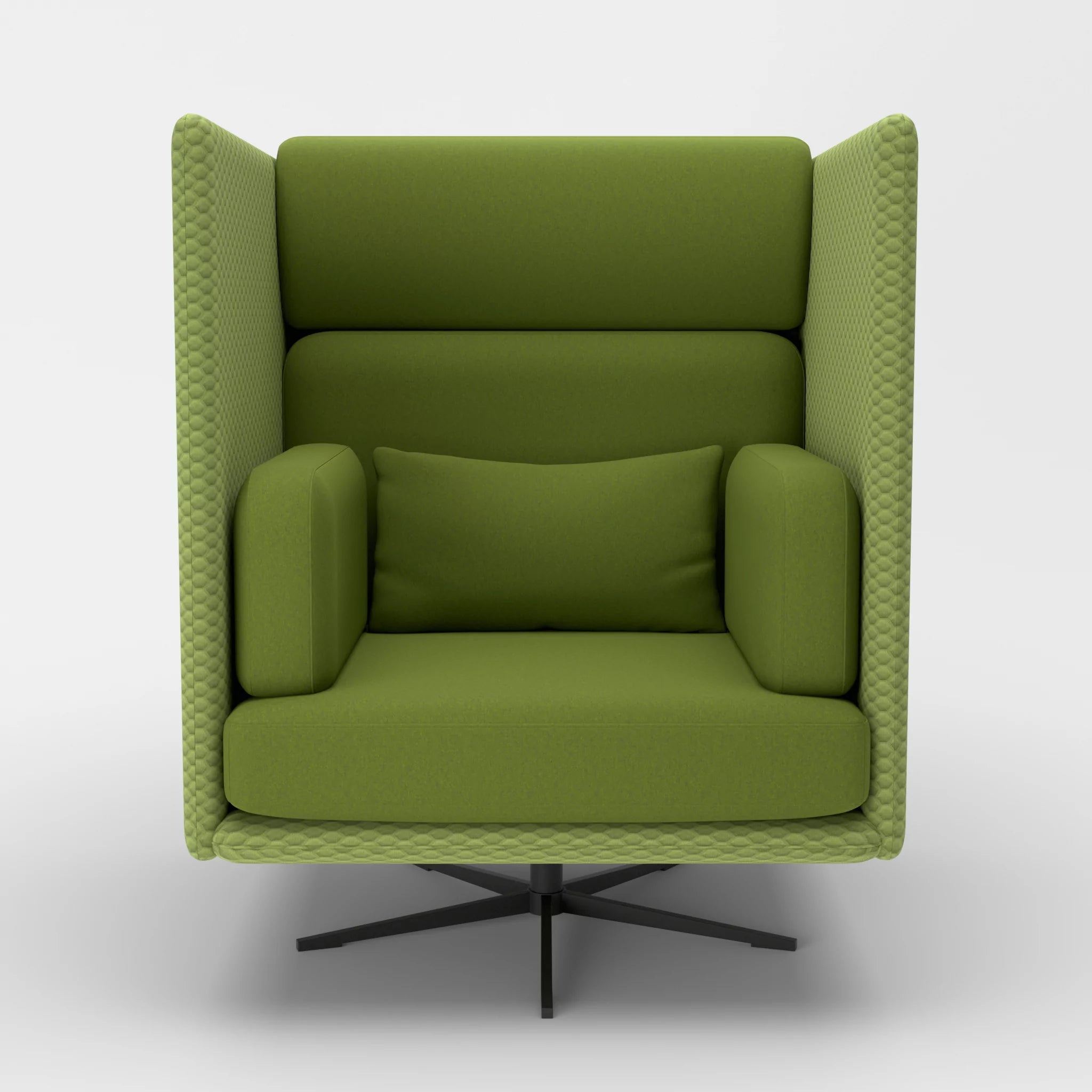 Loungesessel Egon Hohe Version spazio7021-dama0059 in Hellgrün und Grün von vorne