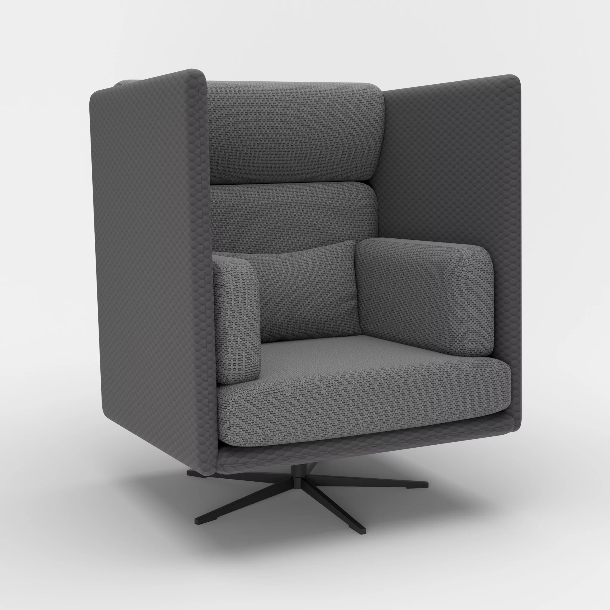 Loungesessel Egon Hohe Version spazio8017-nabucco8009 in Anthrazit und Dunkelgrau von der Seite