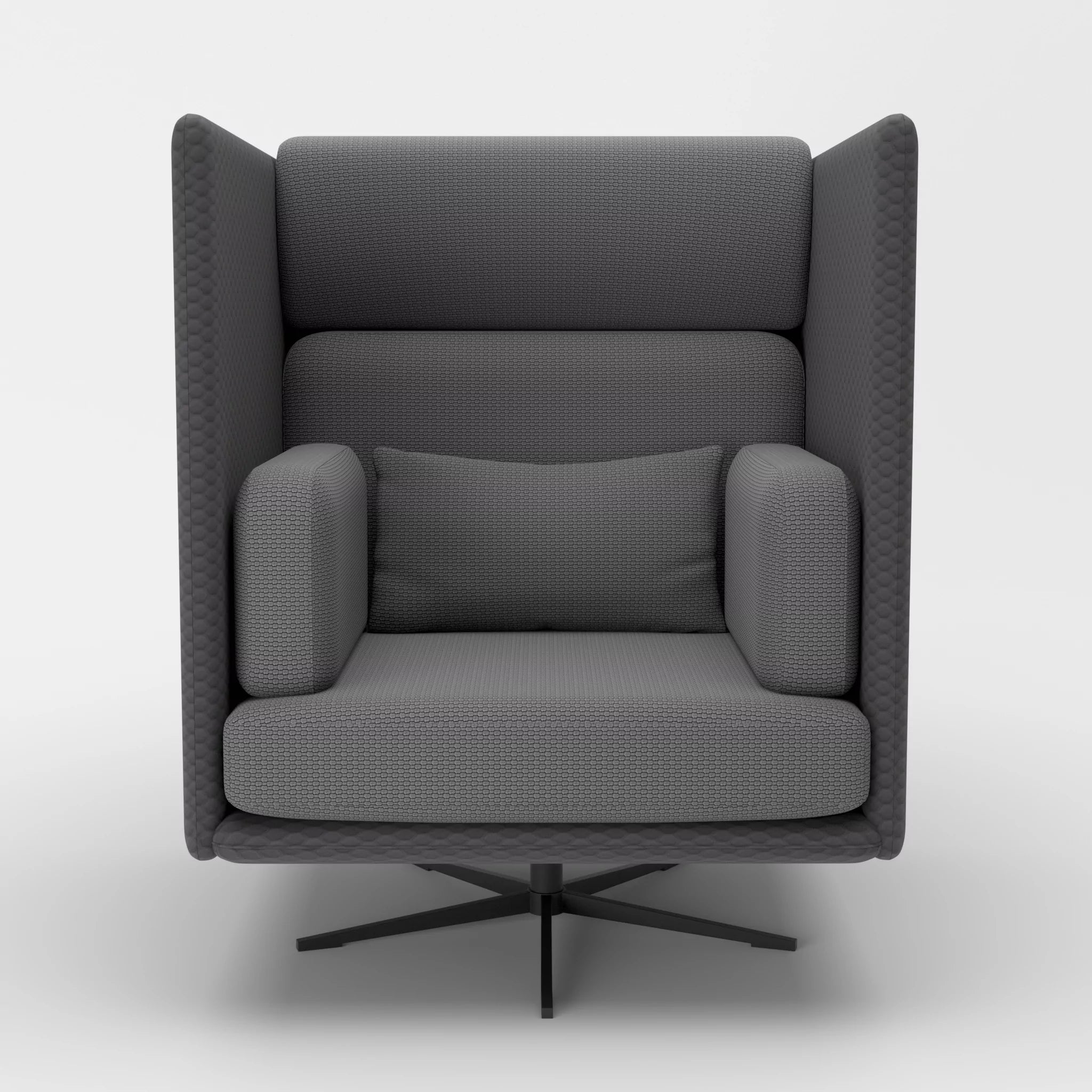 Loungesessel Egon Hohe Version spazio8017-nabucco8009 in Anthrazit und Dunkelgrau von vorne