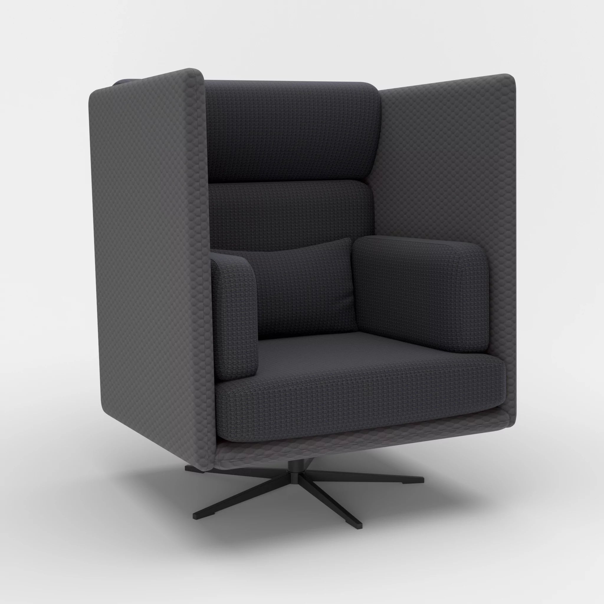 Loungesessel Egon Hohe Version spazio8017-nabucco8019 in Anthrazit und Anthrazit von der Seite