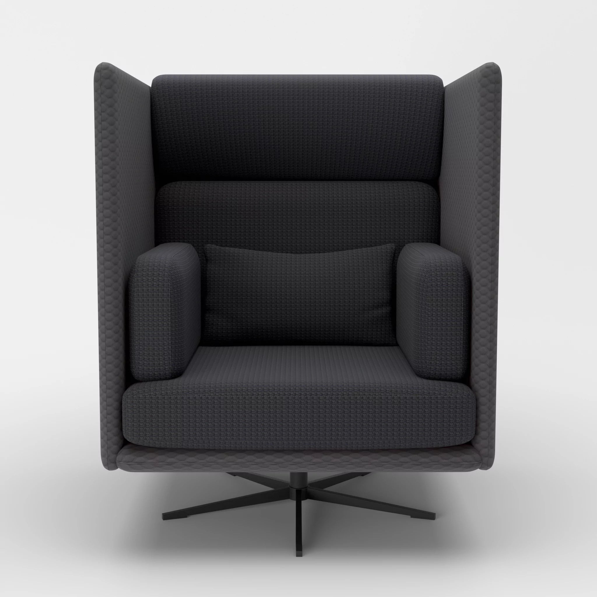 Loungesessel Egon Hohe Version spazio8017-nabucco8019 in Anthrazit und Anthrazit von vorne