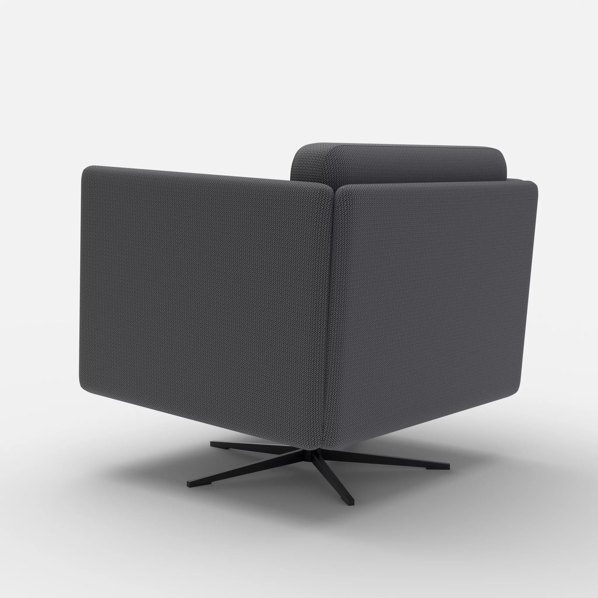 Loungesessel Egon credoasphalt-credoasphalt in Anthrazit und Anthrazit von hinten