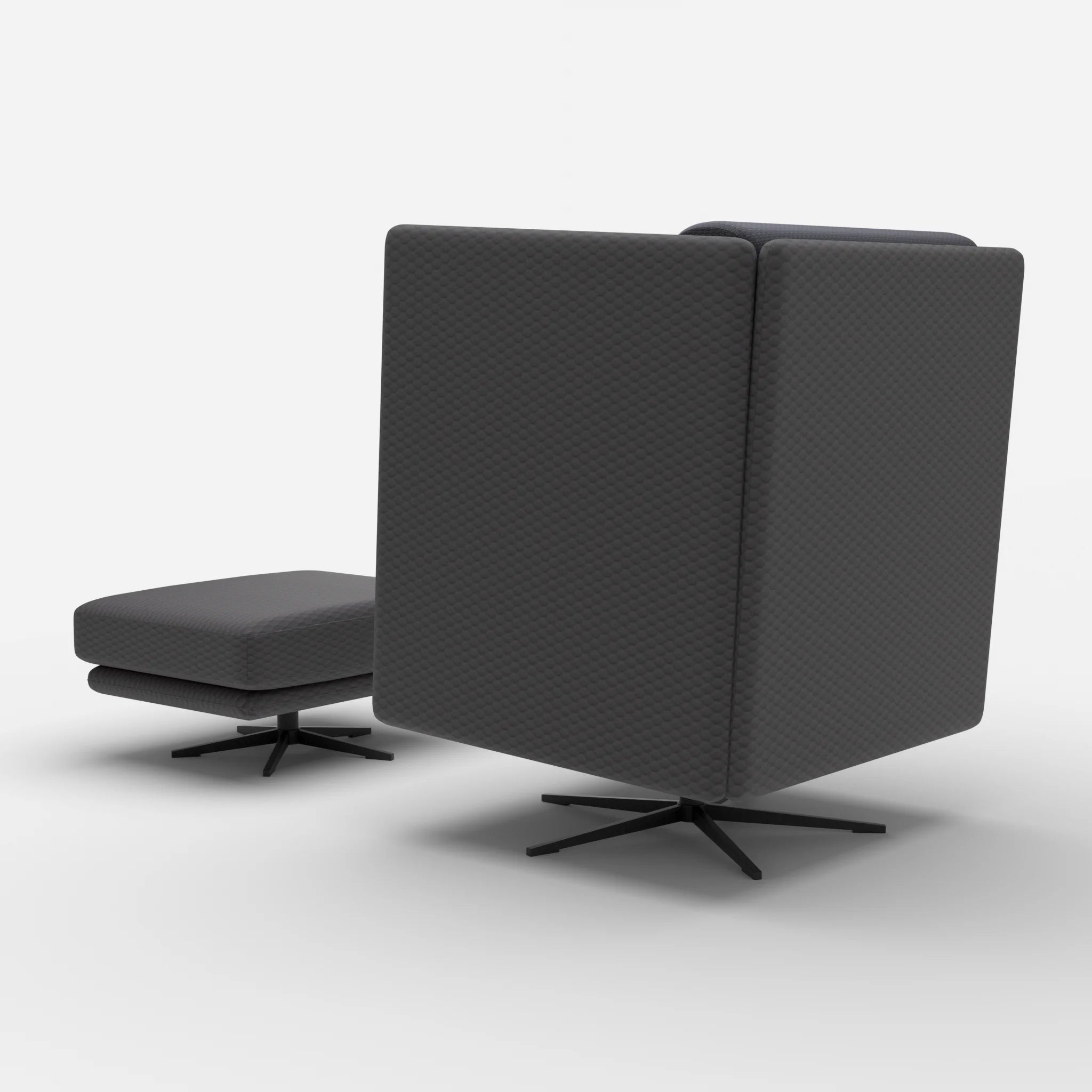 Loungesessel Egon Hohe Version mit Pouf spazio8017-nabucco8019 in Anthrazit und Anthrazit von hinten