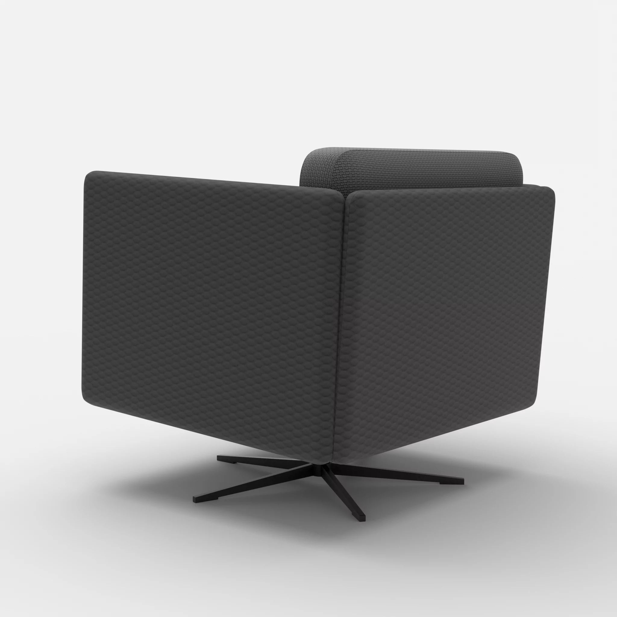 Loungesessel Egon spazio8017-nabucco8009 in Anthrazit und Dunkelgrau von hinten