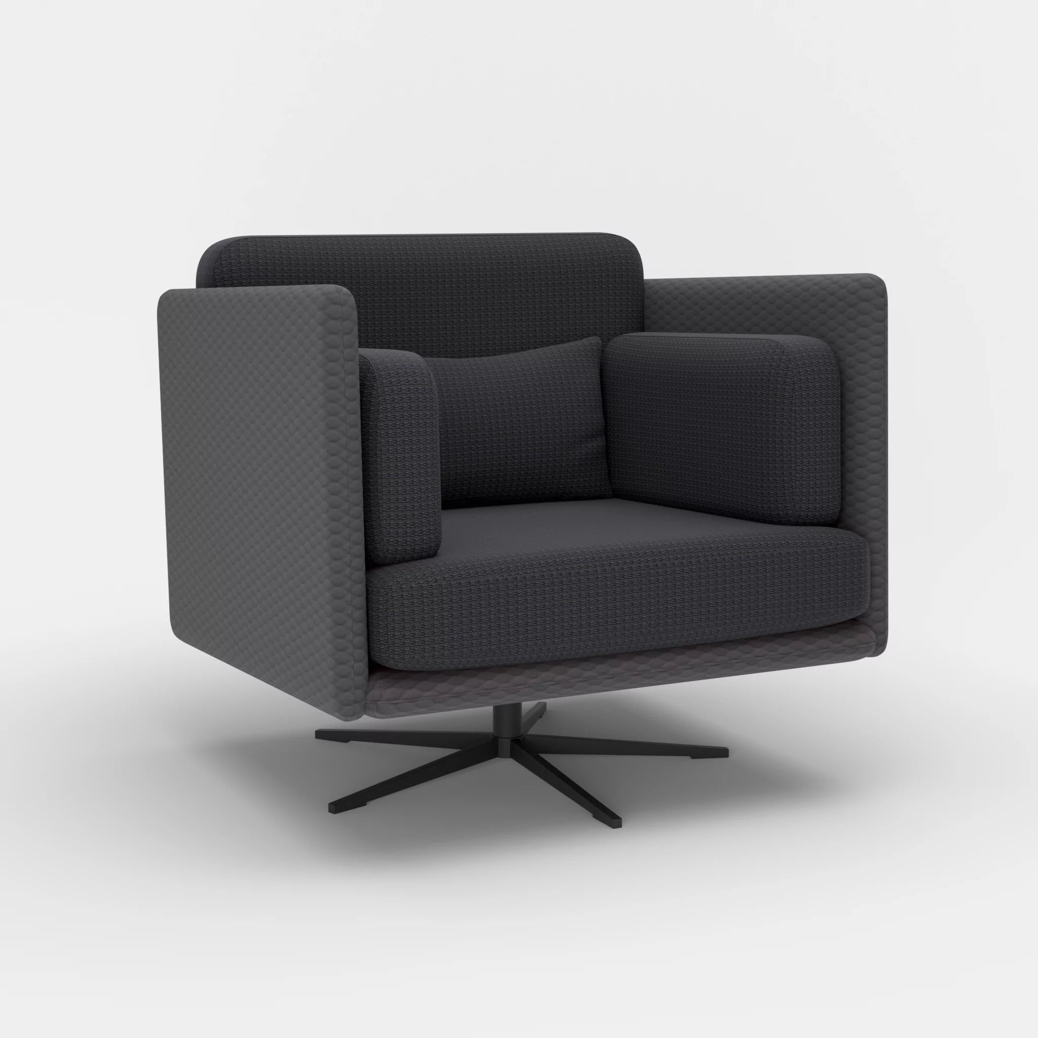 Loungesessel Egon spazio8017-nabucco8019 in Anthrazit und Anthrazit von der Seite