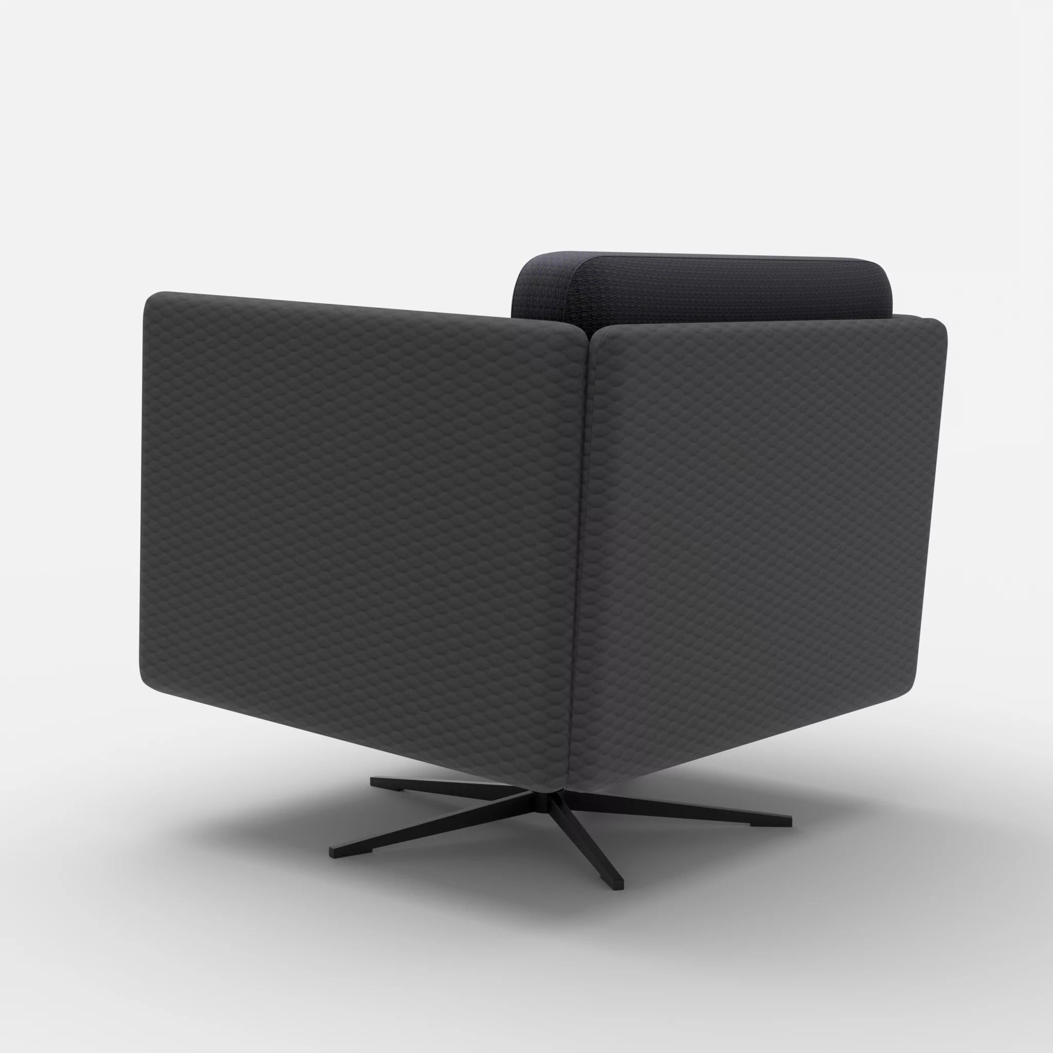 Loungesessel Egon spazio8017-nabucco8019 in Anthrazit und Anthrazit von hinten