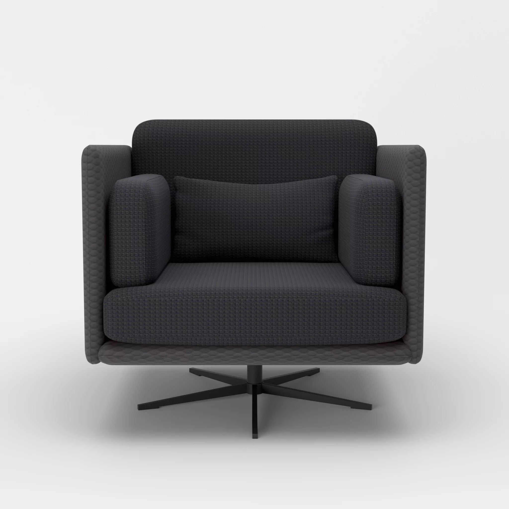Loungesessel Egon spazio8017-nabucco8019 in Anthrazit und Anthrazit von vorne